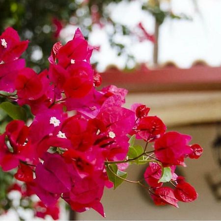 Hotel Molino La Boticaria Marchena  Zewnętrze zdjęcie